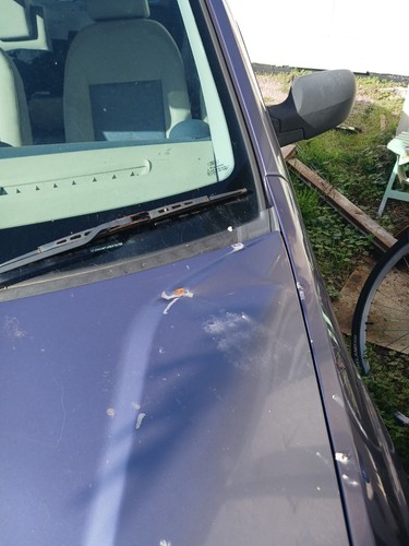 Ford fiesta car - ford,