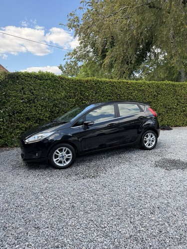 Ford fiesta petrol - fiesta, door